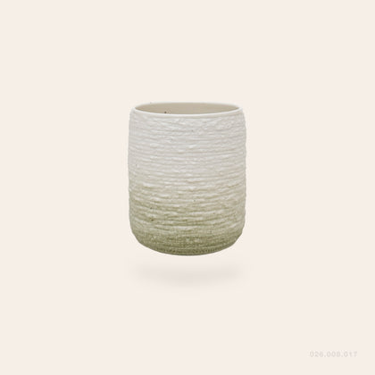 026.008.017