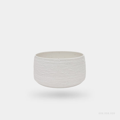 026.008.029 (dog bowl)