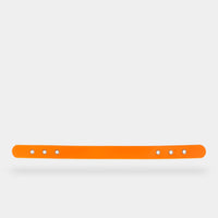 collar (explorer) - part B