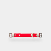 collar (explorer) - part A