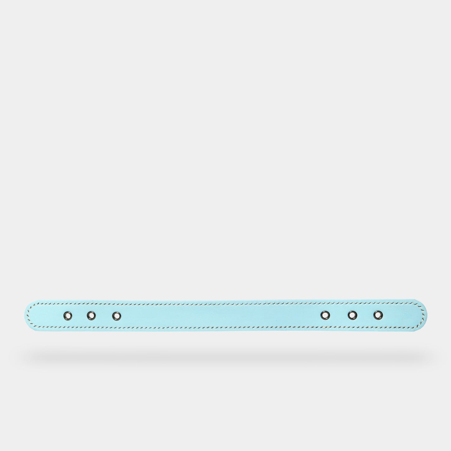 collar (leather) - part B [preceding collection]