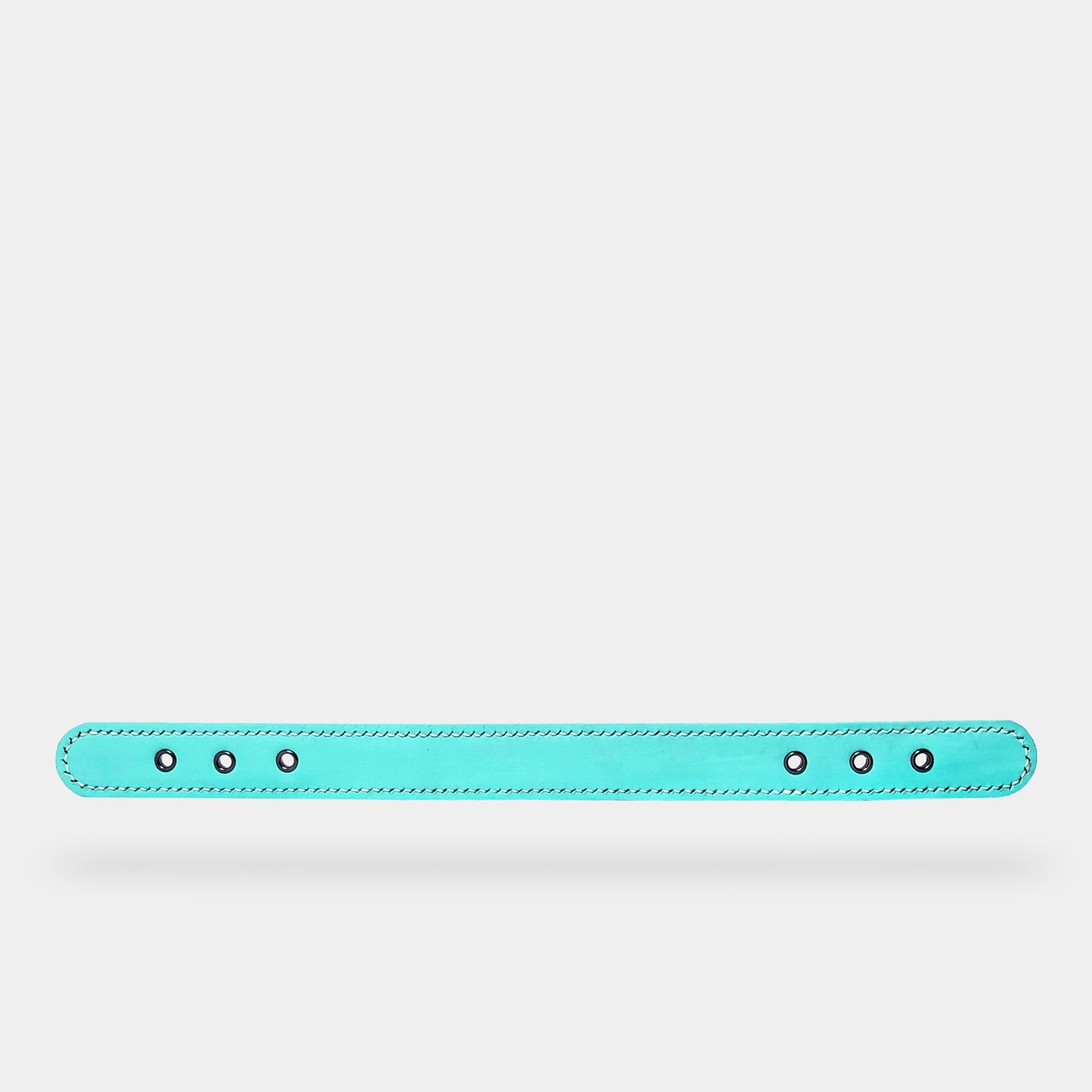 collar (leather) - part B [preceding collection]