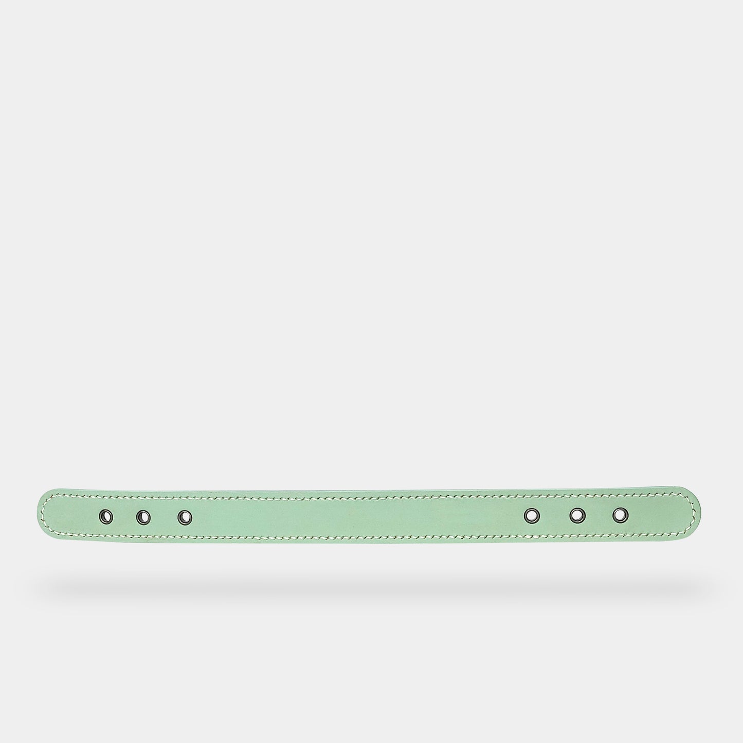 collar (leather) - part B [preceding collection]