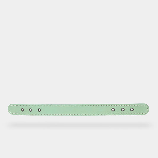 collar (leather) - part B [preceding collection]