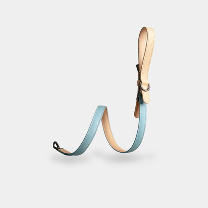 dog leash
