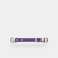 collar (explorer) - part A