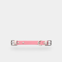 collar (explorer) - part A
