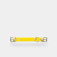 collar (explorer) - part A