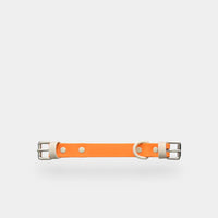 collar (explorer) - part A