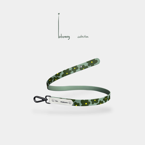 leash (explorer) - part B [blooming collection]