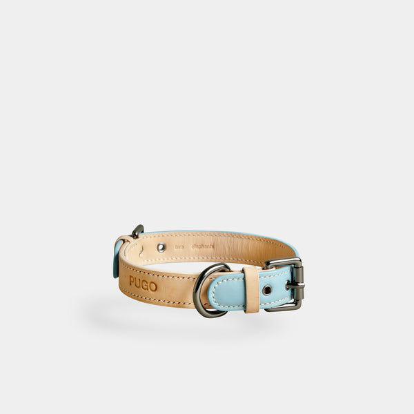 dog collar - leather