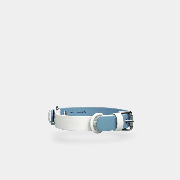 dog collar - explorer