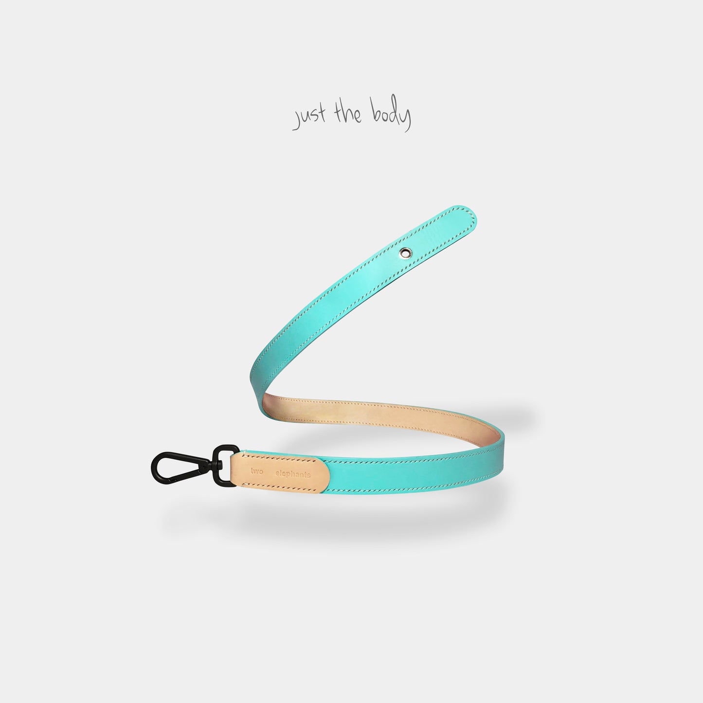 leash (leather) - part B [preceding collection]