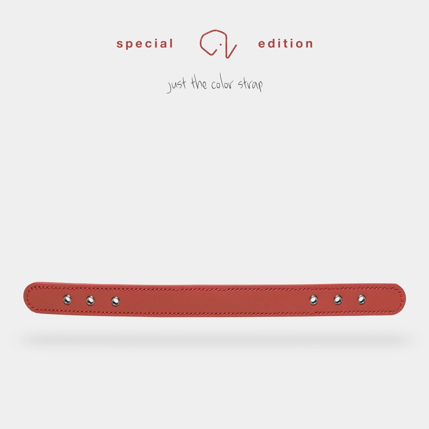 collar (leather) - part B [preceding collection]