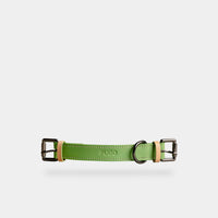 collar (leather) - part A