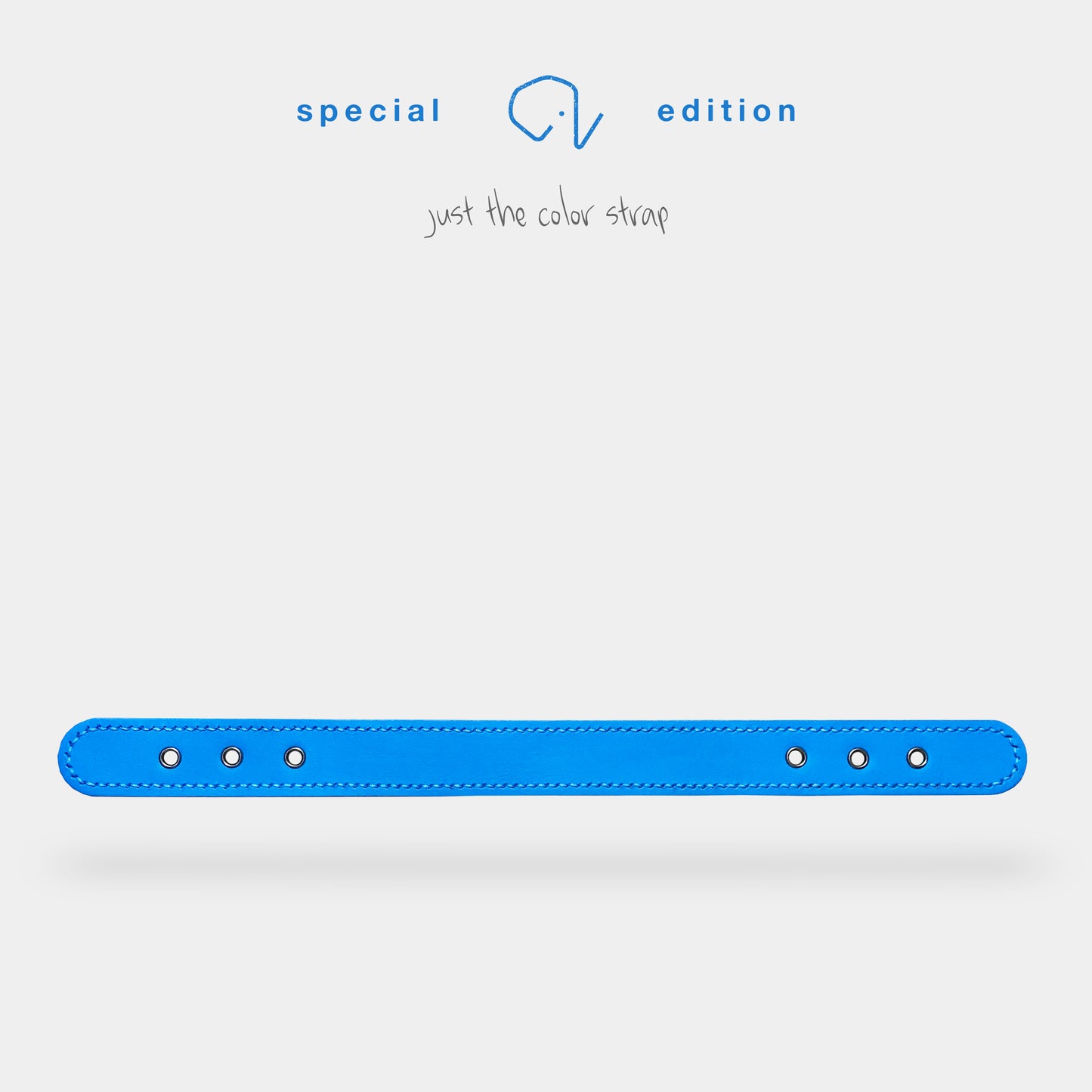 collar (leather) - part B [preceding collection]
