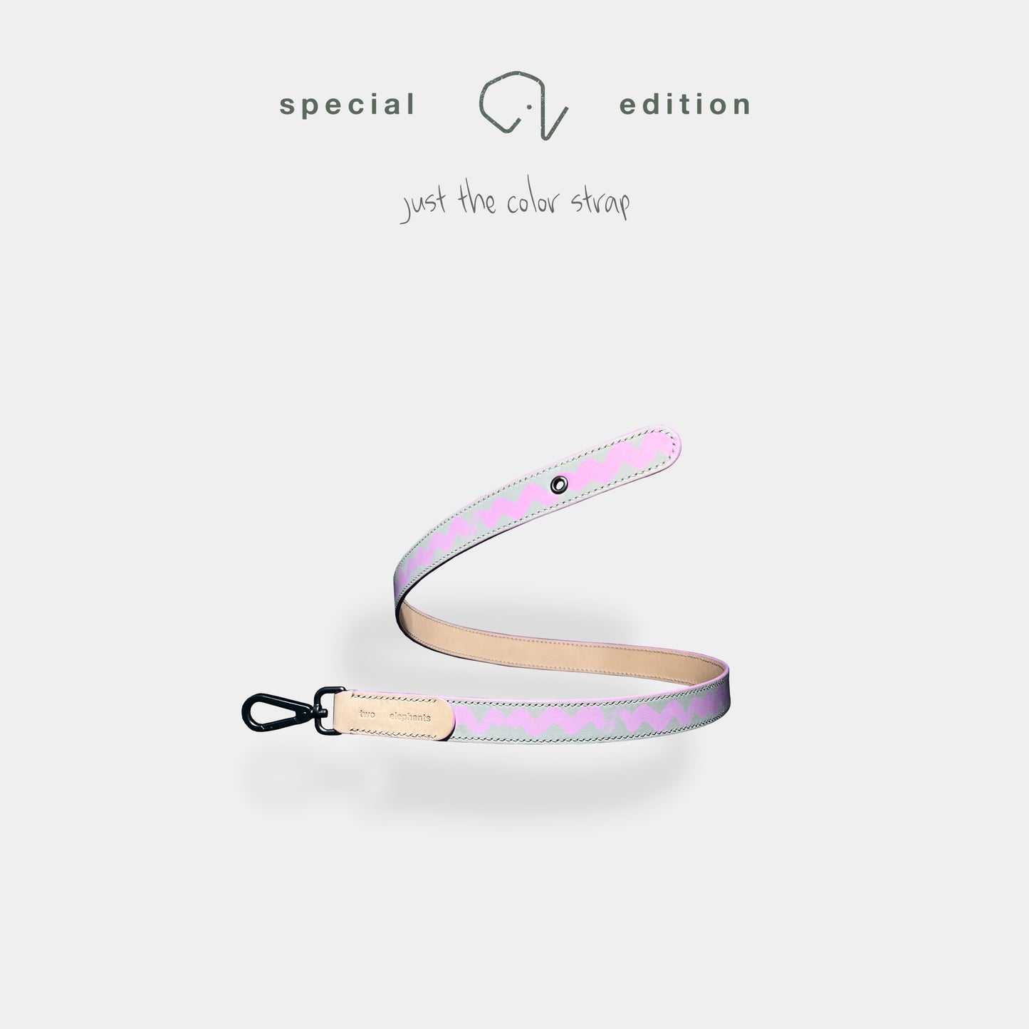 leash (leather) - part B [preceding collection]
