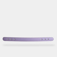 collar (leather) - part B