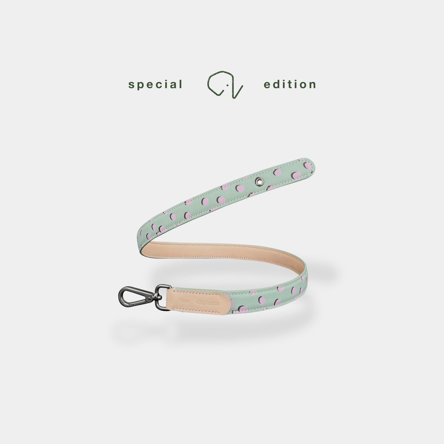 collar (leather) - part B [birthday]